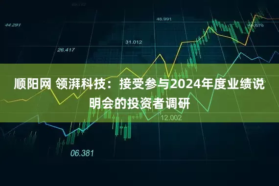 顺阳网 领湃科技：接受参与2024年度业绩说明会的投资者调研