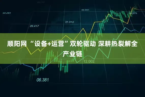 顺阳网 “设备+运营”双轮驱动 深耕热裂解全产业链