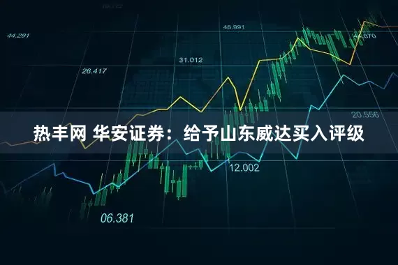 热丰网 华安证券：给予山东威达买入评级