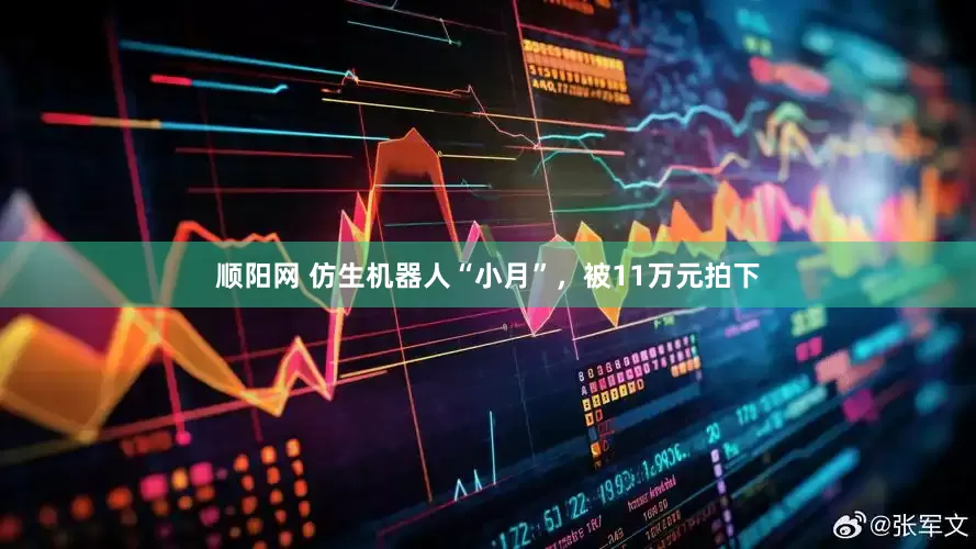 顺阳网 仿生机器人“小月”，被11万元拍下